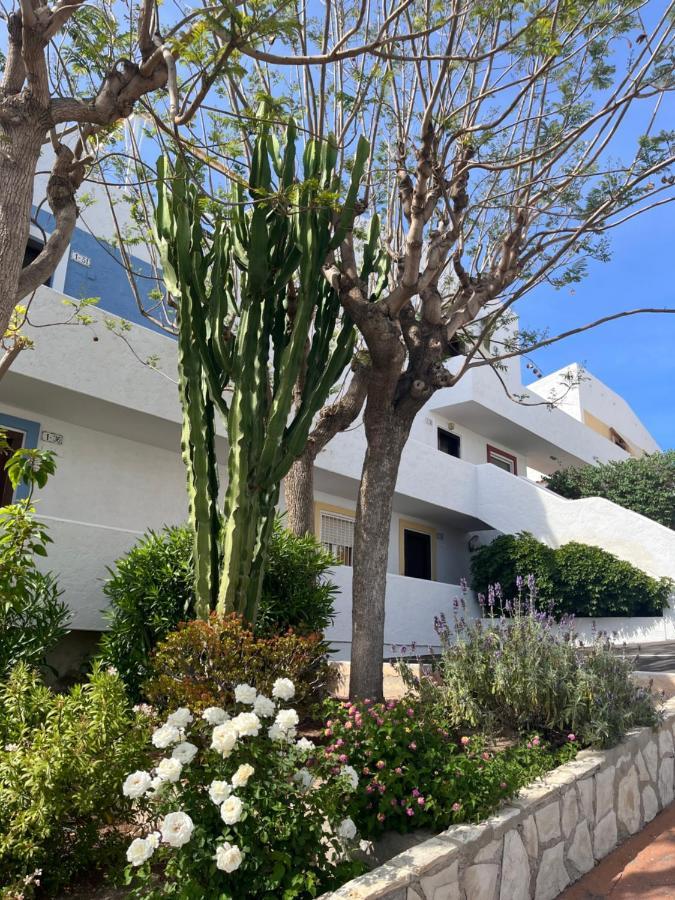 Roymar 14 Playa Apartment Бенидорм Екстериор снимка